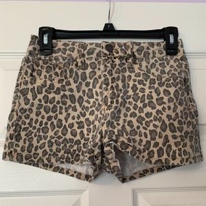 Cheetah Print Shorts